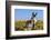 New Mexico, Bisti/De-Na-Zin Wilderness, Donkey-Bernard Friel-Framed Photographic Print