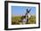 New Mexico, Bisti/De-Na-Zin Wilderness, Donkey-Bernard Friel-Framed Photographic Print