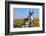 New Mexico, Bisti/De-Na-Zin Wilderness, Donkey-Bernard Friel-Framed Photographic Print