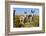 New Mexico, Bisti De-Na-Zin Wilderness, Two Donkeys-Bernard Friel-Framed Photographic Print