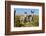 New Mexico, Bisti De-Na-Zin Wilderness, Two Donkeys-Bernard Friel-Framed Photographic Print