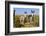 New Mexico, Bisti De-Na-Zin Wilderness, Two Donkeys-Bernard Friel-Framed Photographic Print