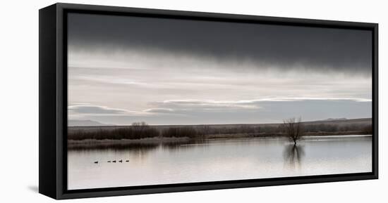 New Mexico, Bosque Del Apache National Wildlife Refuge-Ann Collins-Framed Premier Image Canvas