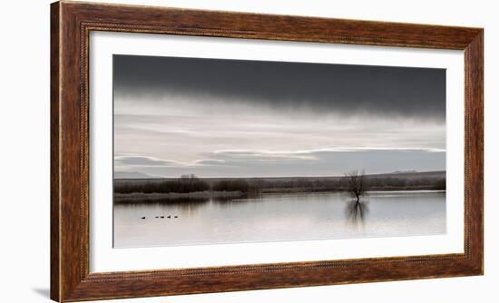 New Mexico, Bosque Del Apache National Wildlife Refuge-Ann Collins-Framed Photographic Print