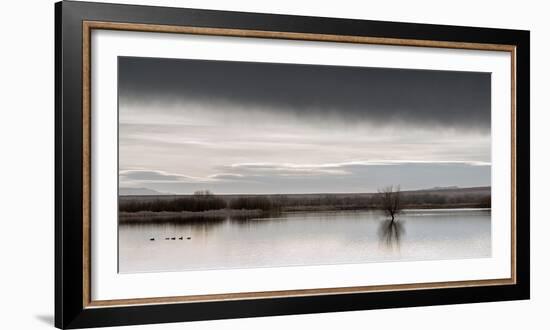 New Mexico, Bosque Del Apache National Wildlife Refuge-Ann Collins-Framed Photographic Print