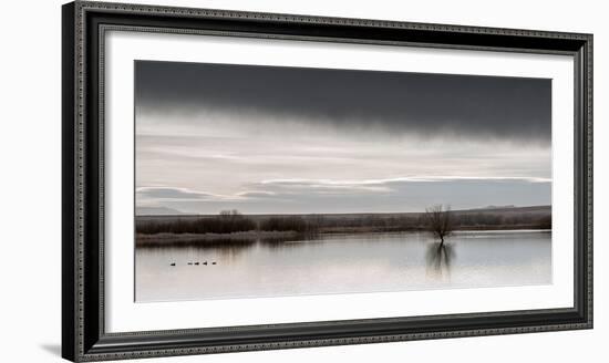 New Mexico, Bosque Del Apache National Wildlife Refuge-Ann Collins-Framed Photographic Print