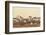 New Mexico, Bosque Del Apache Natural Wildlife Refuge. Mixed Geese Flying-Jaynes Gallery-Framed Photographic Print