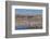 New Mexico, Bosque del Apache NWR. Fall Colors in Grasses-Don Paulson-Framed Photographic Print