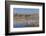 New Mexico, Bosque del Apache NWR. Fall Colors in Grasses-Don Paulson-Framed Photographic Print