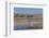 New Mexico, Bosque del Apache NWR. Fall Colors in Grasses-Don Paulson-Framed Photographic Print