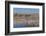 New Mexico, Bosque del Apache NWR. Fall Colors in Grasses-Don Paulson-Framed Photographic Print