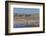 New Mexico, Bosque del Apache NWR. Fall Colors in Grasses-Don Paulson-Framed Photographic Print