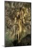 New Mexico, Carlsbad Caverns National Park. the Chandelier Stalactite Formation-Kevin Oke-Mounted Photographic Print
