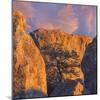 New Mexico, City of Rocks State Park. Sunset on Boulders and Tree-Don Paulson-Mounted Photographic Print