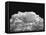 New Mexico Cloud Thunderhead Landscape Abstract in Black and White, New Mexico-Kevin Lange-Framed Premier Image Canvas