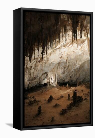 New Mexico, Eddy County, Carlsbad Caverns National Park. Cave Formations-Kevin Oke-Framed Premier Image Canvas