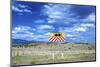 New Mexico, High Alpine Grasslands and Clouds. End of Highway 78-Richard Wright-Mounted Photographic Print