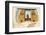 New Mexico. Painting in the Mission San Jose De La Laguna-Luc Novovitch-Framed Photographic Print