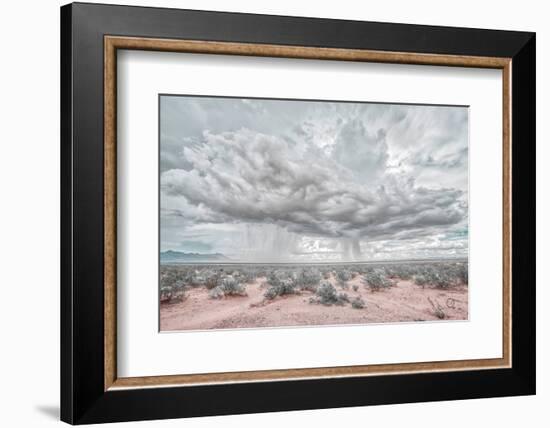 New Mexico Rain-Nathan Larson-Framed Photographic Print