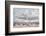 New Mexico Rain-Nathan Larson-Framed Photographic Print