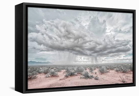 New Mexico Rain-Nathan Larson-Framed Premier Image Canvas