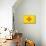 New Mexico State Flag-Lantern Press-Mounted Art Print displayed on a wall