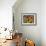 New Mexico Sunflowers-Mary Russel-Framed Giclee Print displayed on a wall