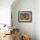 New Mexico Sunflowers-Mary Russel-Framed Giclee Print displayed on a wall