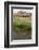 New Mexico. Taos Pueblo, Architecture Style from Pre Hispanic Americas-Luc Novovitch-Framed Photographic Print