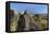 New Mexico, Three Rivers Petroglyph Site. Petroglyph on Rocks-Don Paulson-Framed Premier Image Canvas