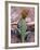 New Mexico, USA-Judith Haden-Framed Photographic Print