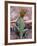 New Mexico, USA-Judith Haden-Framed Photographic Print