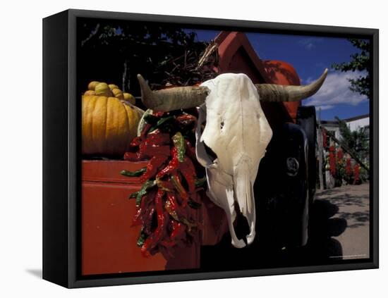 New Mexico, USA-Judith Haden-Framed Premier Image Canvas