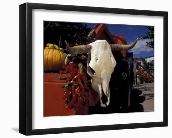 New Mexico, USA-Judith Haden-Framed Photographic Print