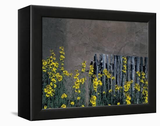 New Mexico, USA-Judith Haden-Framed Premier Image Canvas