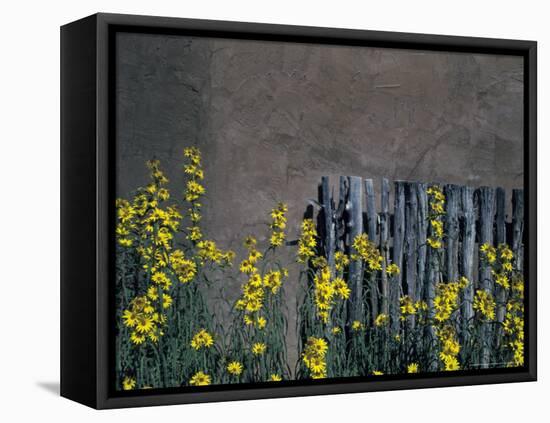 New Mexico, USA-Judith Haden-Framed Premier Image Canvas