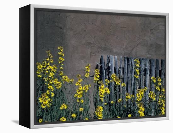 New Mexico, USA-Judith Haden-Framed Premier Image Canvas