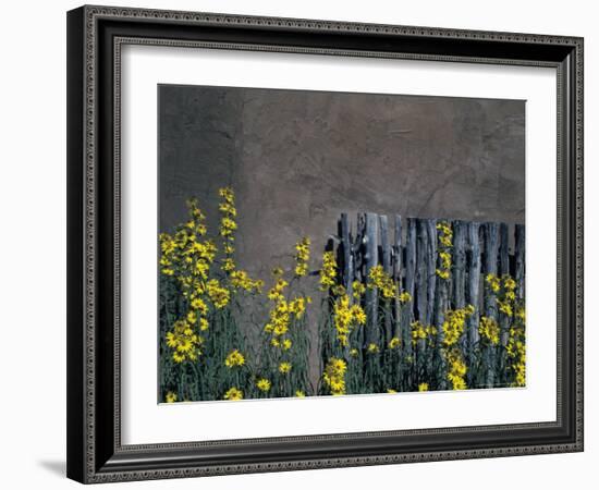 New Mexico, USA-Judith Haden-Framed Photographic Print