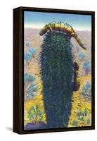 New Mexico - View of Gila Monsters on Cactus-Lantern Press-Framed Stretched Canvas