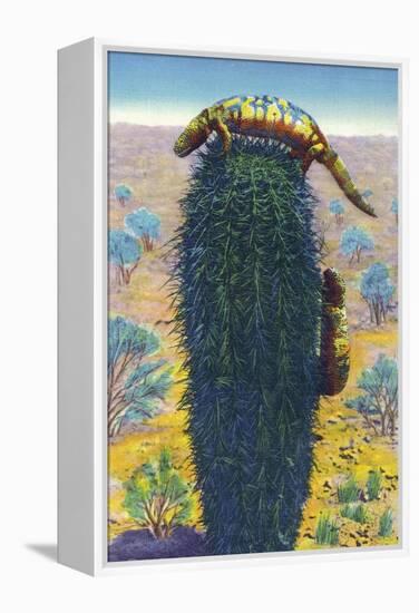 New Mexico - View of Gila Monsters on Cactus-Lantern Press-Framed Stretched Canvas