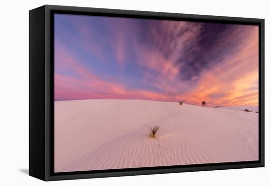 New Mexico, White Sands National Monument. Sunrise on Desert Sand-Jaynes Gallery-Framed Premier Image Canvas