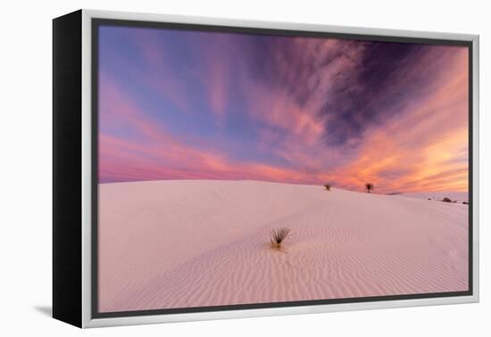 New Mexico, White Sands National Monument. Sunrise on Desert Sand-Jaynes Gallery-Framed Premier Image Canvas