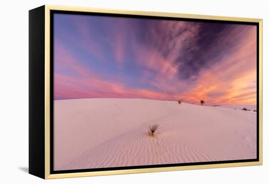 New Mexico, White Sands National Monument. Sunrise on Desert Sand-Jaynes Gallery-Framed Premier Image Canvas