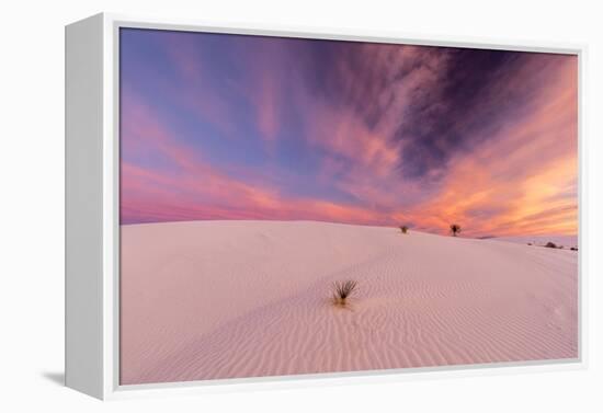 New Mexico, White Sands National Monument. Sunrise on Desert Sand-Jaynes Gallery-Framed Premier Image Canvas