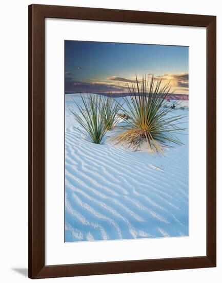 New Mexico-Cassaigne-Framed Art Print