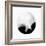 New Moon I-PI Studio-Framed Art Print