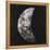 New Moon I-Sydney Edmunds-Framed Premier Image Canvas
