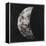 New Moon I-Sydney Edmunds-Framed Premier Image Canvas