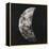 New Moon I-Sydney Edmunds-Framed Premier Image Canvas