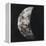 New Moon I-Sydney Edmunds-Framed Premier Image Canvas